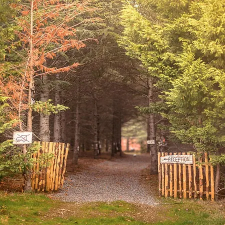 Domaine De La Vitarelle Glamping 3* Villaniere