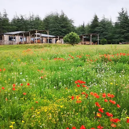 豪华帐篷 Domaine De La Vitarelle Glamping Villaniere