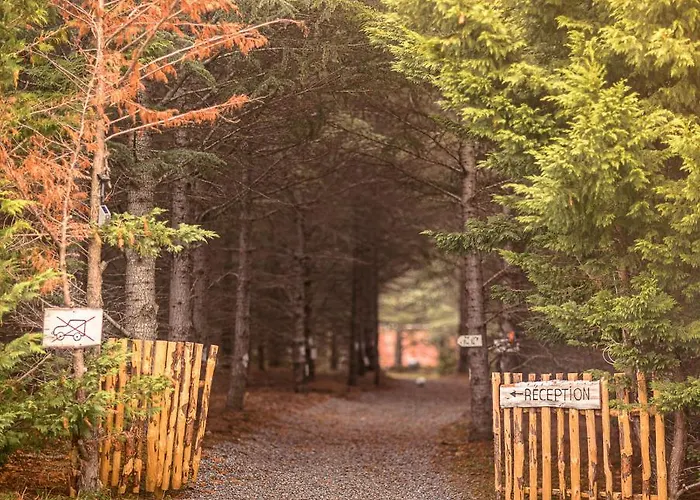 Domaine De La Vitarelle Glamping 3* Villaniere