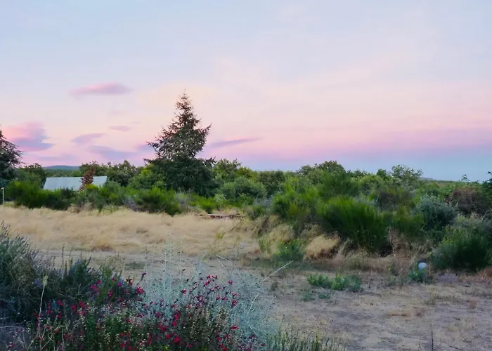 Domaine De La Vitarelle Glamping Luxury tent